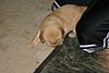 IMG_6065.JPG