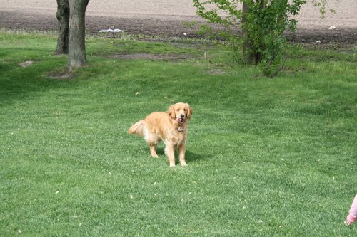 IMG_0095.JPG
