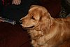 IMG_0011.JPG