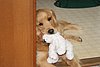 IMG_0062.JPG