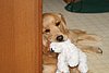 IMG_0063.JPG