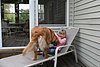 IMG_0071.JPG