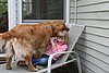 IMG_0072.JPG