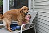 IMG_0074.JPG
