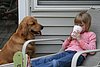 IMG_0081.JPG