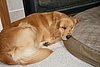 IMG_0173.JPG