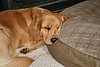 IMG_0174.JPG