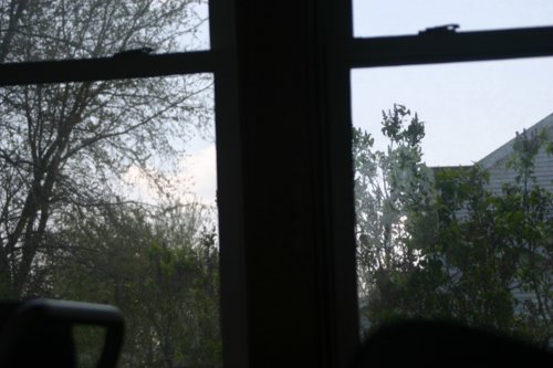 IMG_5672.JPG
