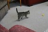IMG_5678.JPG