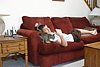 IMG_5682.JPG