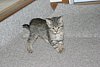 IMG_5686.JPG