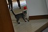 IMG_5688.JPG
