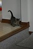 IMG_5690.JPG