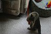 IMG_5773.JPG