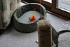 IMG_5774.JPG