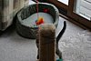 IMG_5775.JPG