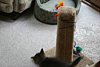 IMG_5777.JPG