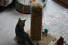IMG_5778.JPG