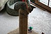 IMG_5783.JPG
