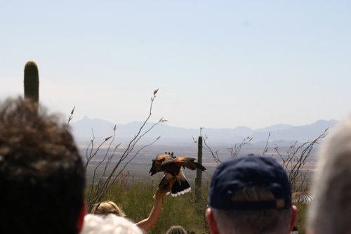 2007 Arizona 079.jpg