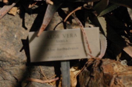 2007 Arizona 161.jpg