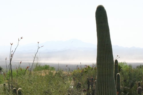 2007 Arizona 169.jpg