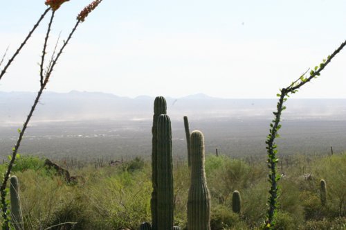 2007 Arizona 170.jpg