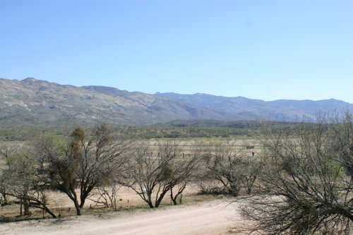 2007 Arizona 296.jpg