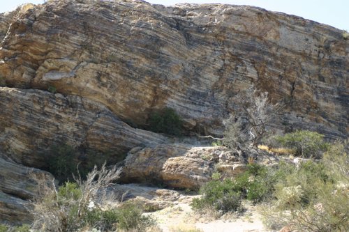 2007 Arizona 333.jpg