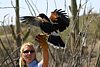 2007 Arizona 106.jpg