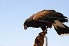 2007 Arizona 108.jpg