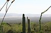 2007 Arizona 170.jpg