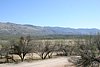 2007 Arizona 296.jpg