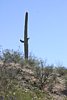 2007 Arizona 316.jpg