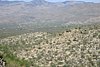 2007 Arizona 326.jpg