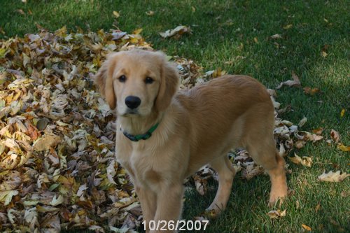 2007 October 043.jpg