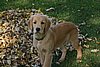 2007 October 043.jpg