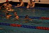 IMG_7249.JPG