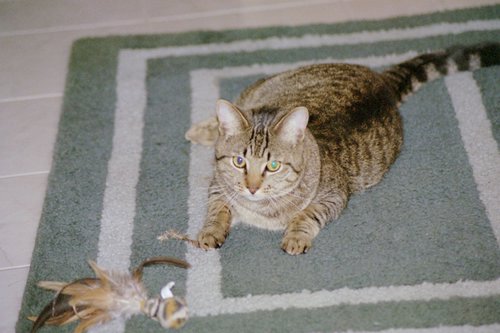 IMG001.JPG