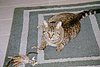 IMG001.JPG