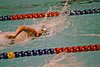 IMG019.JPG