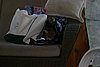 2007 September 012.jpg