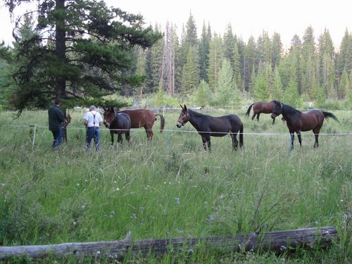 2008 Bob Marshall Wilderness Trip 042.jpg