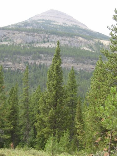 2008 Bob Marshall Wilderness Trip 068.jpg