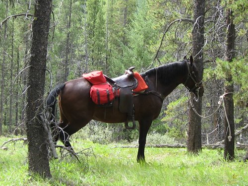 2008 Bob Marshall Wilderness Trip 070.jpg