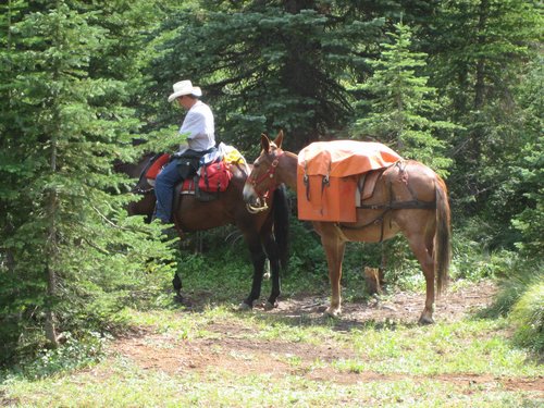 2008 Bob Marshall Wilderness Trip 080.jpg