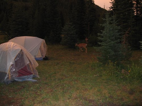 2008 Bob Marshall Wilderness Trip 090.jpg