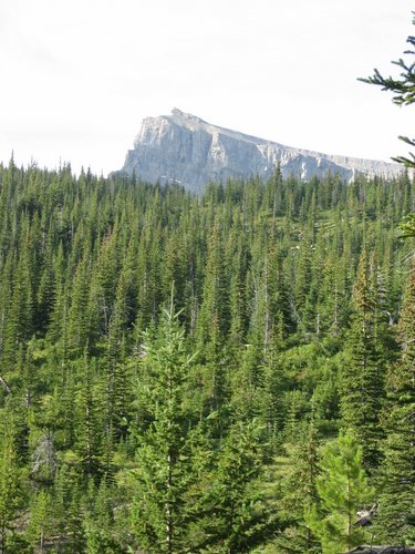 2008 Bob Marshall Wilderness Trip 098.jpg