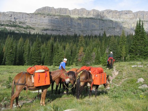 2008 Bob Marshall Wilderness Trip 111.jpg