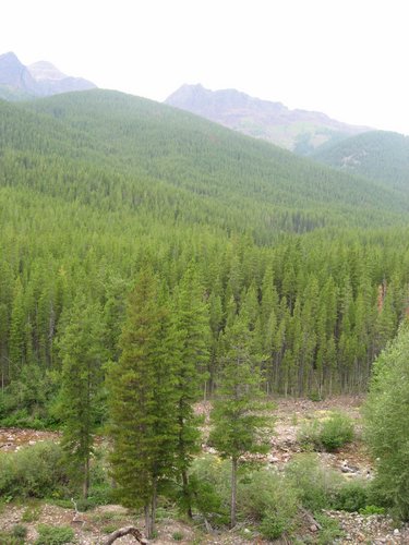 2008 Bob Marshall Wilderness Trip 183.jpg